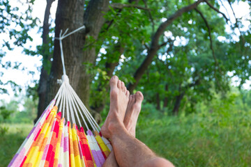 human rest in a hammock in a forest, human legs on a hammock background