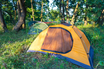 touristic camp in a forest, summer hiking scene