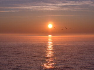 Colorful Sunset Beautiful sea and sky reflection with birds