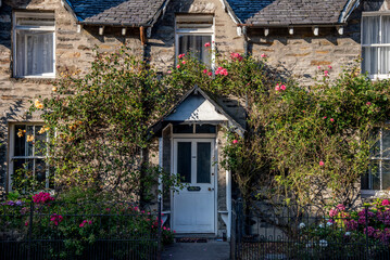 Obraz premium Hauseingangstüre mit Kletterpflanze rundum in Pitlochry