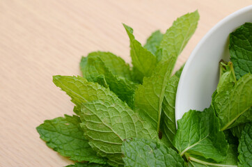 Fresh organic mint closeup
