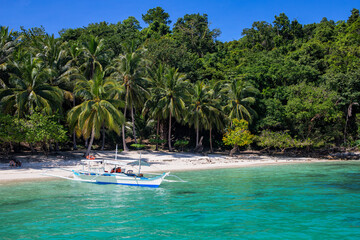 Philippine wooden boat and white beach on sunny day. Tropical island paradise photo. Palm tree jungle forest greenery. Exotic place for summer vacation. South Asia travel. Tourist resort relaxing view