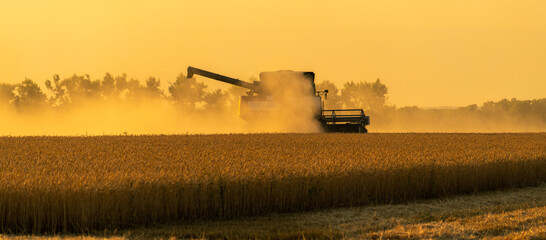 Combine harvester in a cloud of dust during harvesting