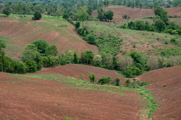 Land prepared for cultivation during the rainy season