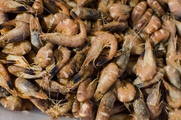 Fresh shrimp at the market for sell