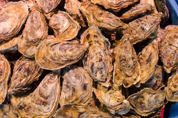 Oysters for sale at the seafood market. Fish market stall full of fresh shell oysters. Close up.