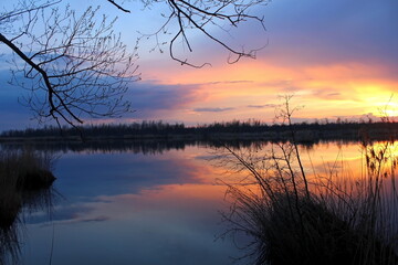 Obraz premium Sunset over a pond in a warm, spring evening. Unique image of the environment.
