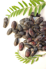   berries of Siberian honeysuckle on a white background with sprigs of greenery, selective focus     