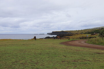 Route en bord de littoral à l'île de Pâques	