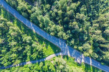 Green forest aerial drone view.