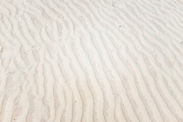 Fototapeta premium sand waves formed by winds on a gypsum sand dune at White Sands National Park in New Mexico
