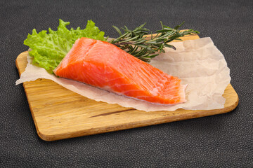 Piece of raw salmon