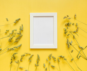 summer-autumn concept. spikelets of grass and frame on a yellow background. background for text