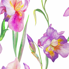 beautiful irises are blooming. Watercolor - 362049728