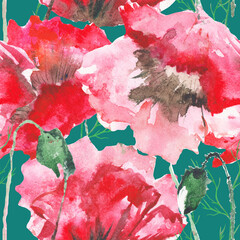 Stylized Poppy flowers illustration. watercolor - 362049730