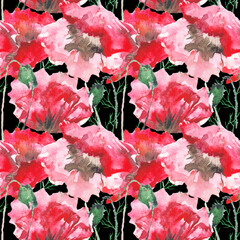 Stylized Poppy flowers illustration. watercolor - 362049755