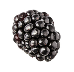 Blackberry isolated on white background with clipping path