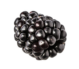 Blackberry isolated on white background with clipping path