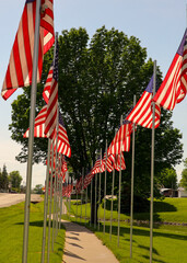 Multiple American Flags lining a sidewalk in a small municipal park on 4th of July; portrait orientation