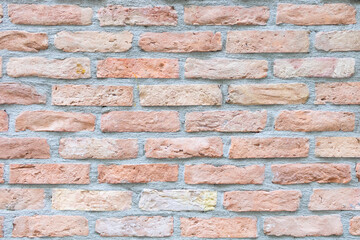 Obraz premium Brick wall texture