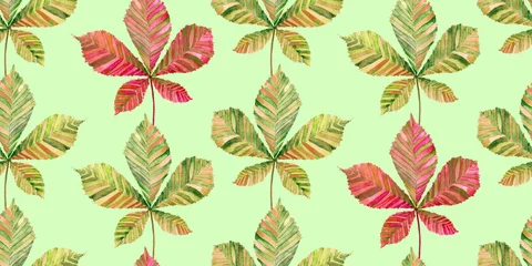 Tuinposter Green and red  horse chestnut (Aesculus hippocastanum or conker tree) leaf, hand painted watercolor illustration seamless pattern design on soft green background © ArtoPhotoDesigno