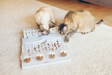 Mental challenges game for cats, can also be used for daily feeding with dry food. Slow feeder toy...