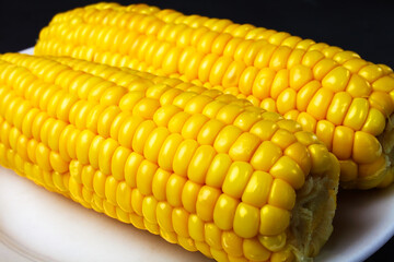 boiled corn on a white plate, selective focus, close-up