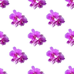 Fototapeta na wymiar purple orchid on white background. Isolated flowers. Seamless floral pattern for fabric, textile, wrapping paper. Tropical flowers