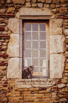 Cat and window in old brick wall