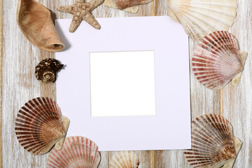 Paper frame with seashells
