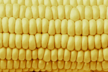 Bulk of corn grains