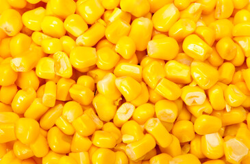 Bulk of corn grains