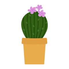 Green cactus in a pot. Vector. In the style of hand drawing.