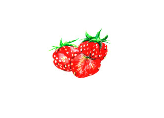 Watercolor hand drawn illustration of strawberries. Sweet and bright vitamin berries drawing isolated on white background. Juicy elements, objects for cafes, restaurants, fabric print, for design
