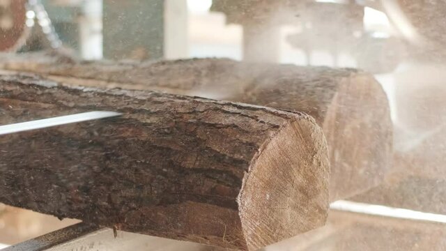 Sawing machine at wood production factory. Timber material processing and cutting at sawmill. Manufacturing process at lumber mill. Sawing woods on power machine. CNC machine