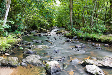 Obraz premium Vue sur la rivière Cance en longue exposition (Normandie, France)