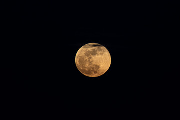 Obraz premium Moon at Lunar Eclipse