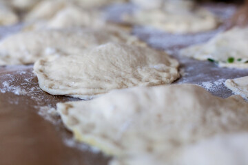 Pizza, pasta e rustici. Calzone fritto napoletano. Rustico tipico della tradizione italiana napoletana.