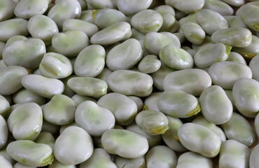 Fresh broad bean macro