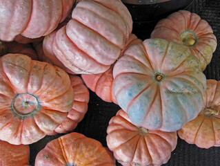 Stack of a new variety of pink pumpkins.  Adds a new color to autumn.