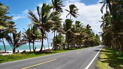 Fototapeta na wymiar Road by the sea in the Dominican Republic. Highway between the sea and coconut trees