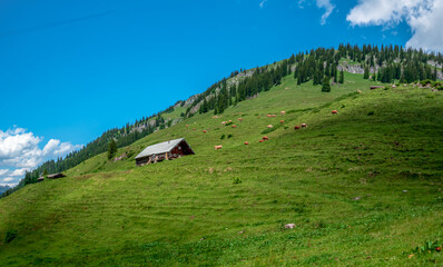 Fototapeta premium Austrian landscape lonely wooden barn