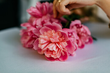 Bouquet of peonies and woman hand, touching them.
