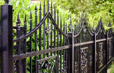 Wrought Iron Fence. Metal fence