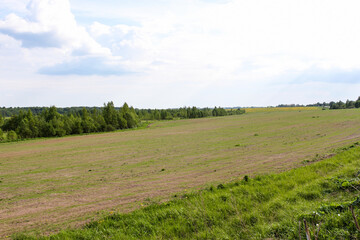 Fototapeta na wymiar Spring fields along the road.