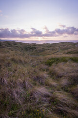 sand dunes at gwithian near hayle cornwall uk 
