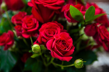 Roses
