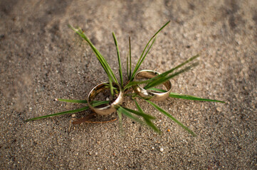 Wedding rings