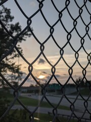 chain link fence with sunset.