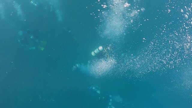 Scuba divers are exploring underwater. People in diving gear dives down to deep water. Swimming in the blue ocean with scuba diver's equipment at summer vacation of a tropical island.-Dan